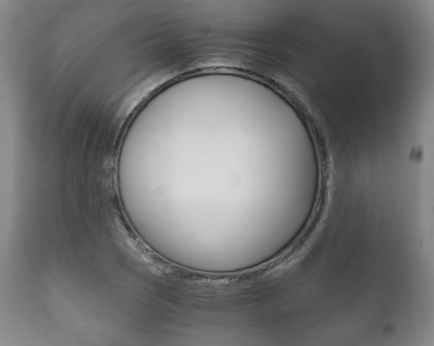 X0000111121121200906301035