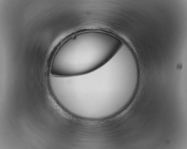 X0000111121122200906301035