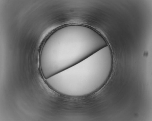 X0000111121123200906301035