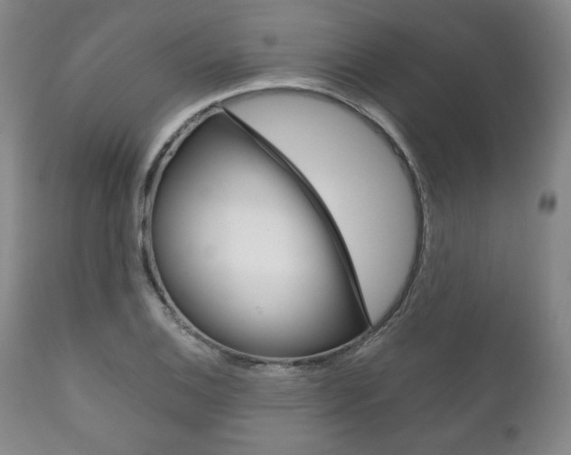 X0000111121124200906301035