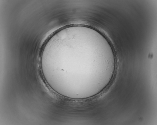 X0000111121125200906301035