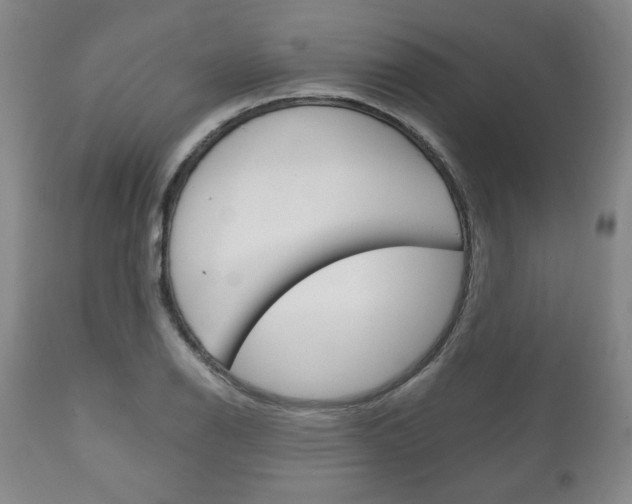 X0000111121126200906301035