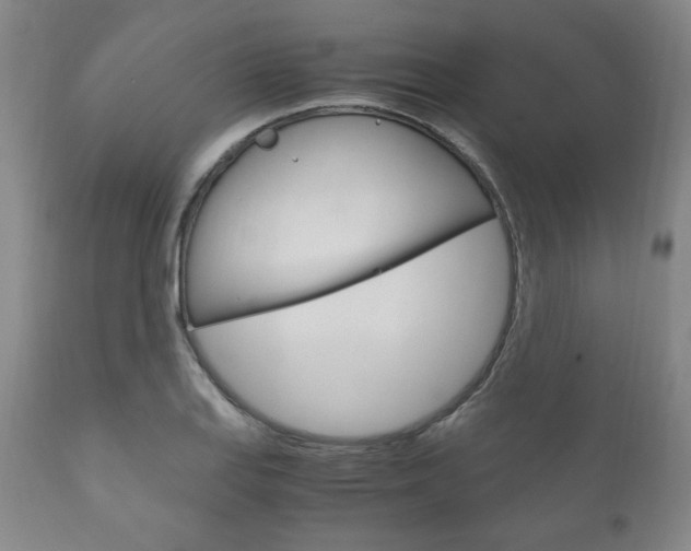 X0000111121127200906301035