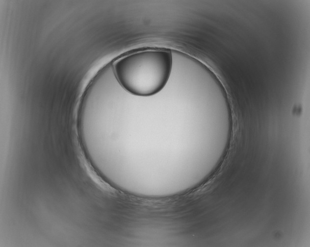 X0000111121128200906301035