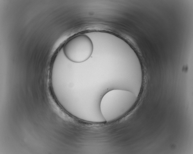 X0000111121130200906301035