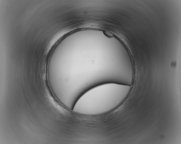 X0000111121131200906301035