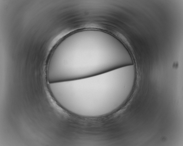X0000111121133200906301035