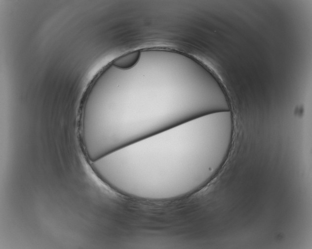 X0000111121135200906301035