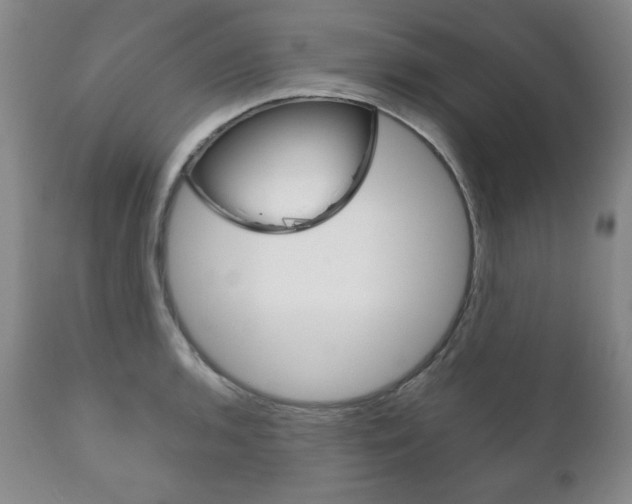 X0000111121136200906301035