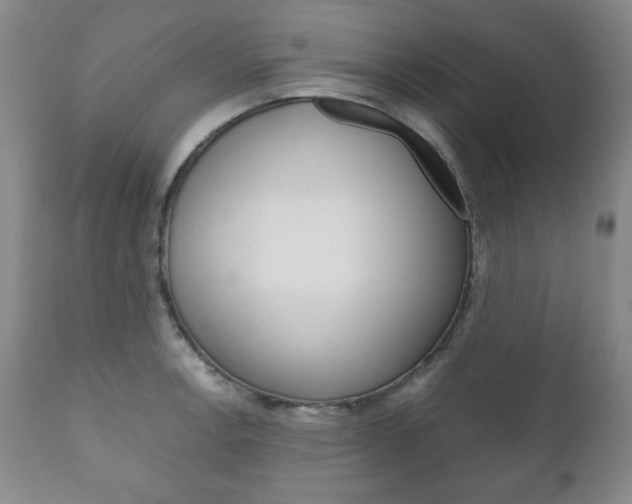 X0000111121138200906301036