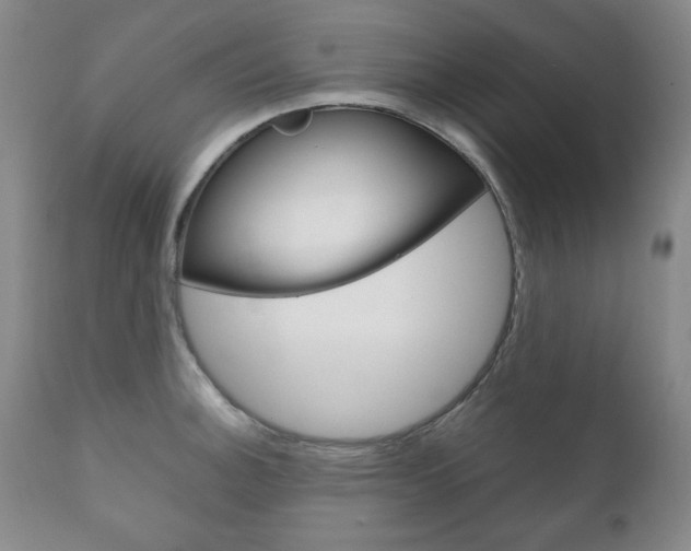 X0000111121140200906301036