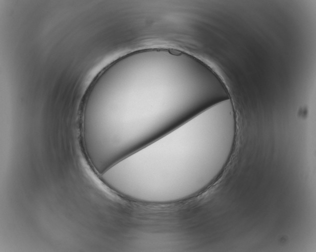 X0000111121142200906301036