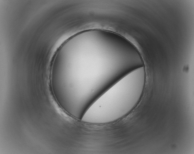 X0000111121144200906301036
