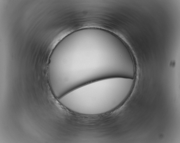 X0000111121145200906301036