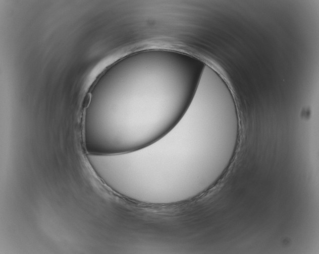 X0000111121146200906301036