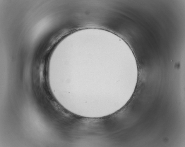 X0000111121150200906301036