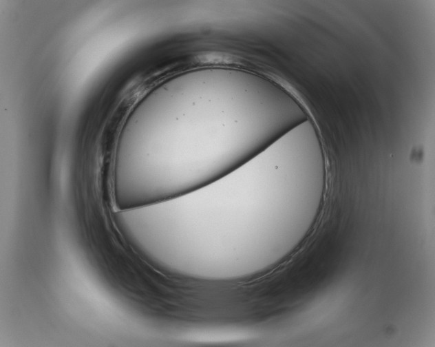 X0000111121151200906301036