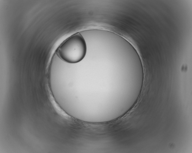 X0000111121152200906301036