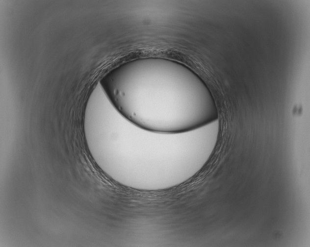 X0000111121153200906301035