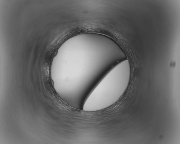 X0000111121155200906301035