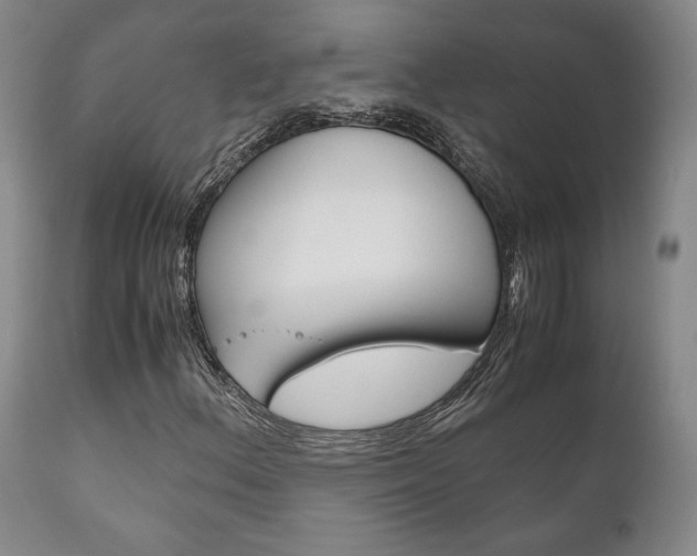 X0000111121156200906301035