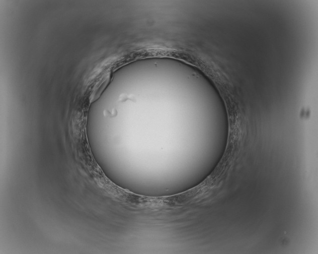 X0000111121157200906301035