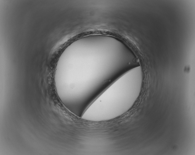 X0000111121159200906301035