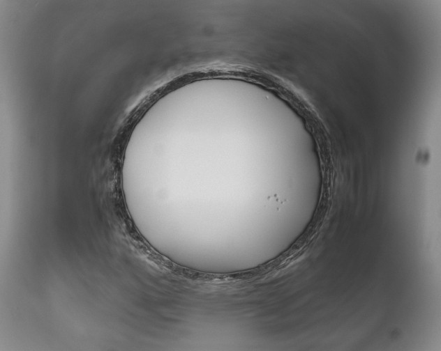 X0000111121160200906301035