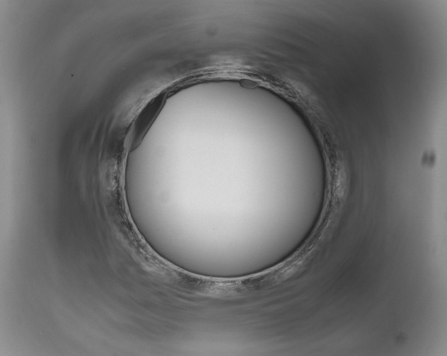 X0000111121161200906301035