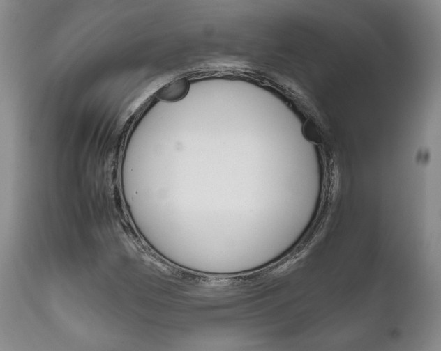 X0000111121162200906301035