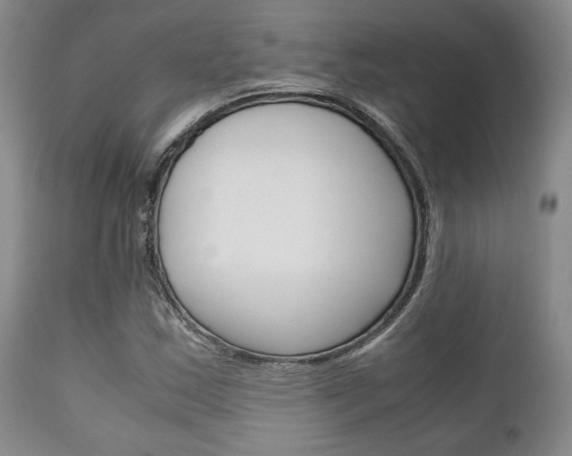 X0000111121163200906301035