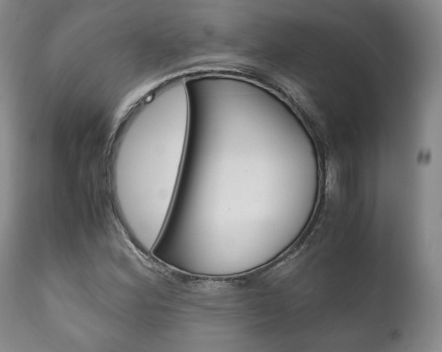X0000111121164200906301035