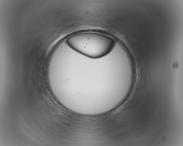 X0000111121165200906301035