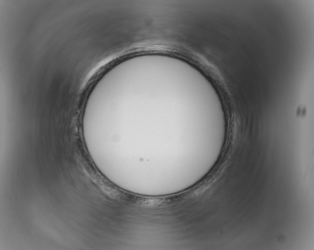 X0000111121166200906301035
