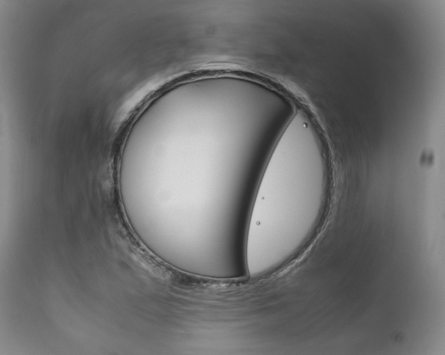 X0000111121167200906301035