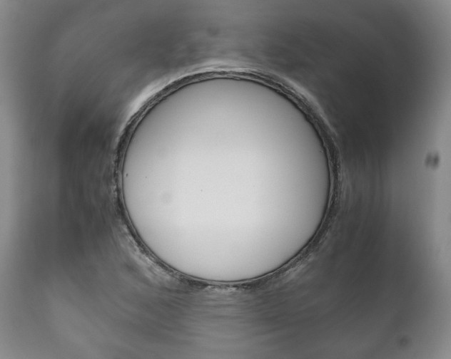 X0000111121168200906301035