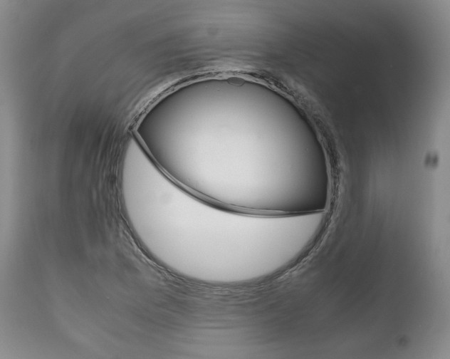 X0000111121169200906301035