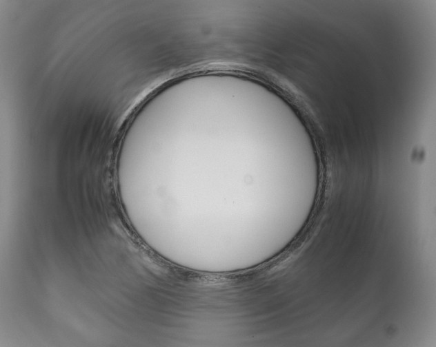 X0000111121170200906301035