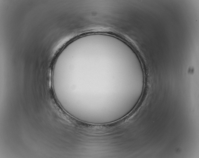 X0000111121171200906301035