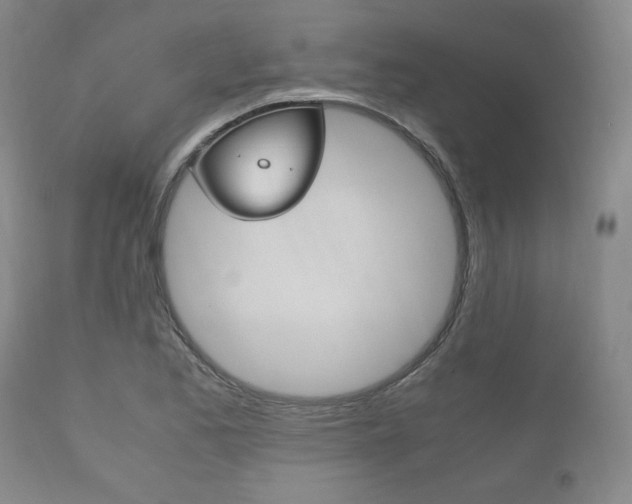 X0000111121173200906301035