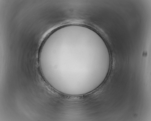 X0000111121174200906301035
