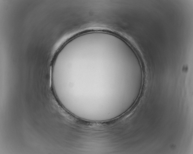 X0000111121175200906301035