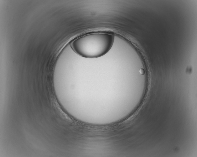 X0000111121177200906301035