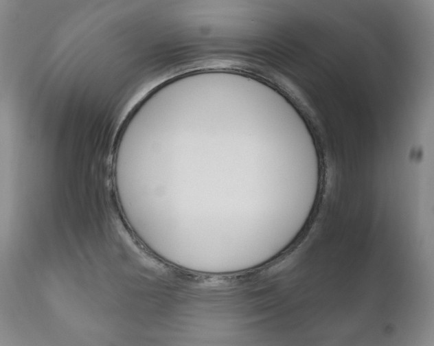 X0000111121178200906301035