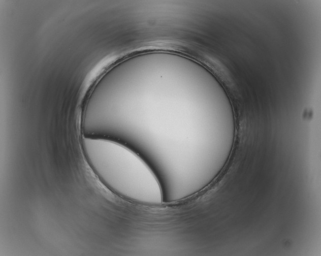X0000111121180200906301035