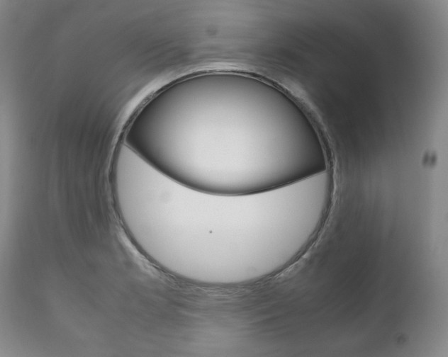 X0000111121181200906301035