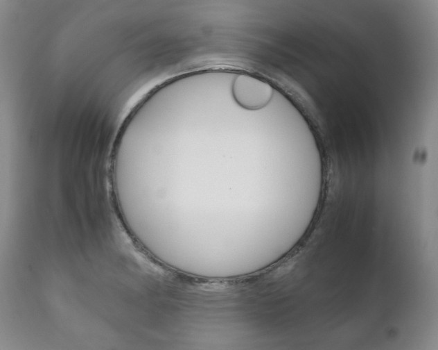 X0000111121182200906301035