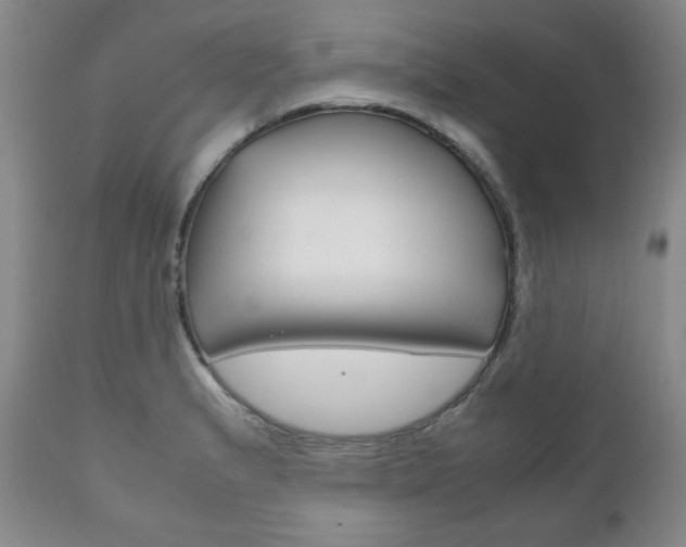 X0000111121183200906301035