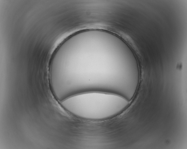 X0000111121184200906301035