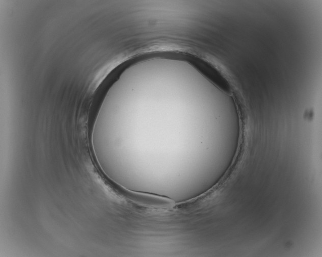 X0000111121185200906301035